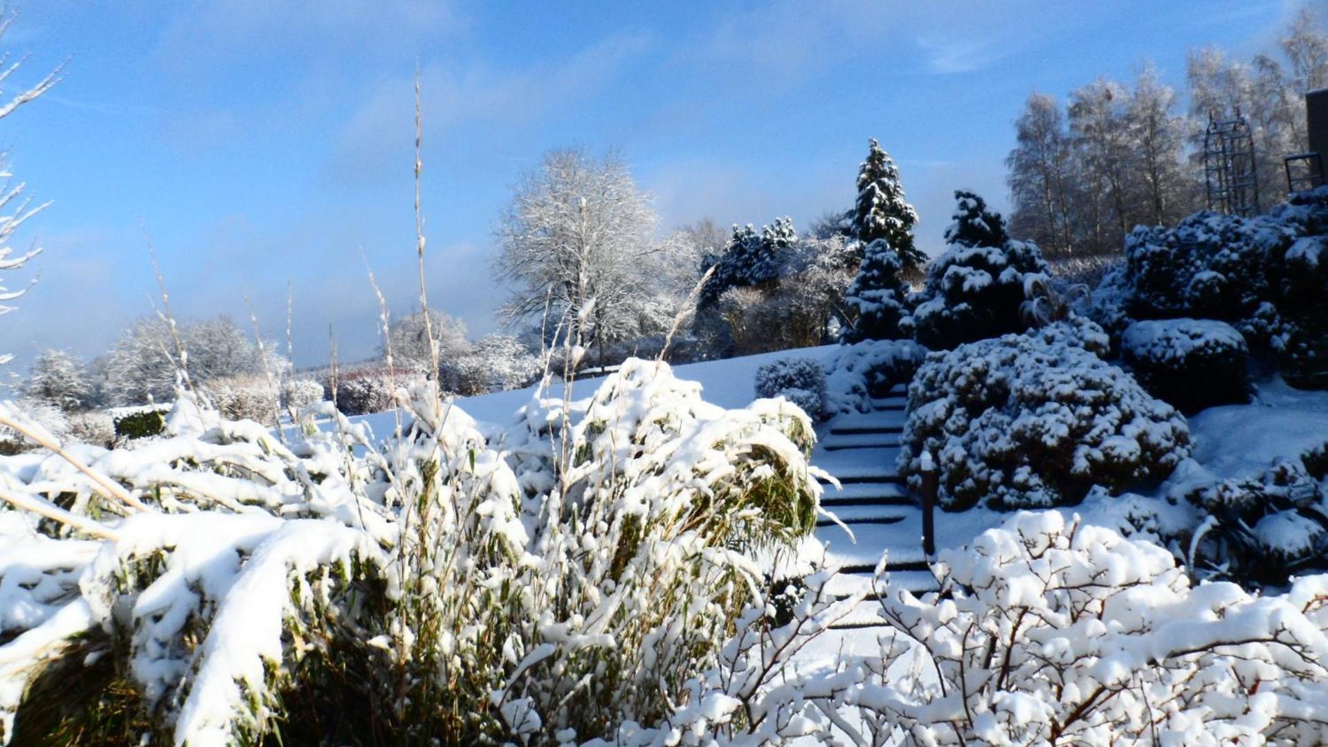 Le Renard'Or Bed and Breakfast Trois-Ponts Eksteriør billede