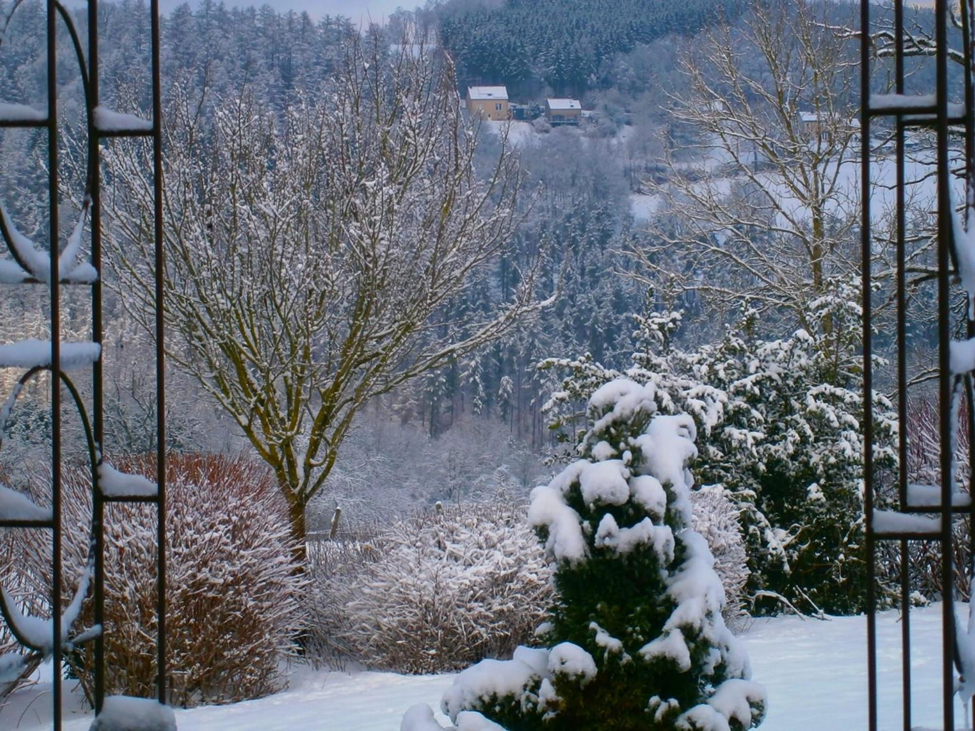 Le Renard'Or Bed and Breakfast Trois-Ponts Eksteriør billede
