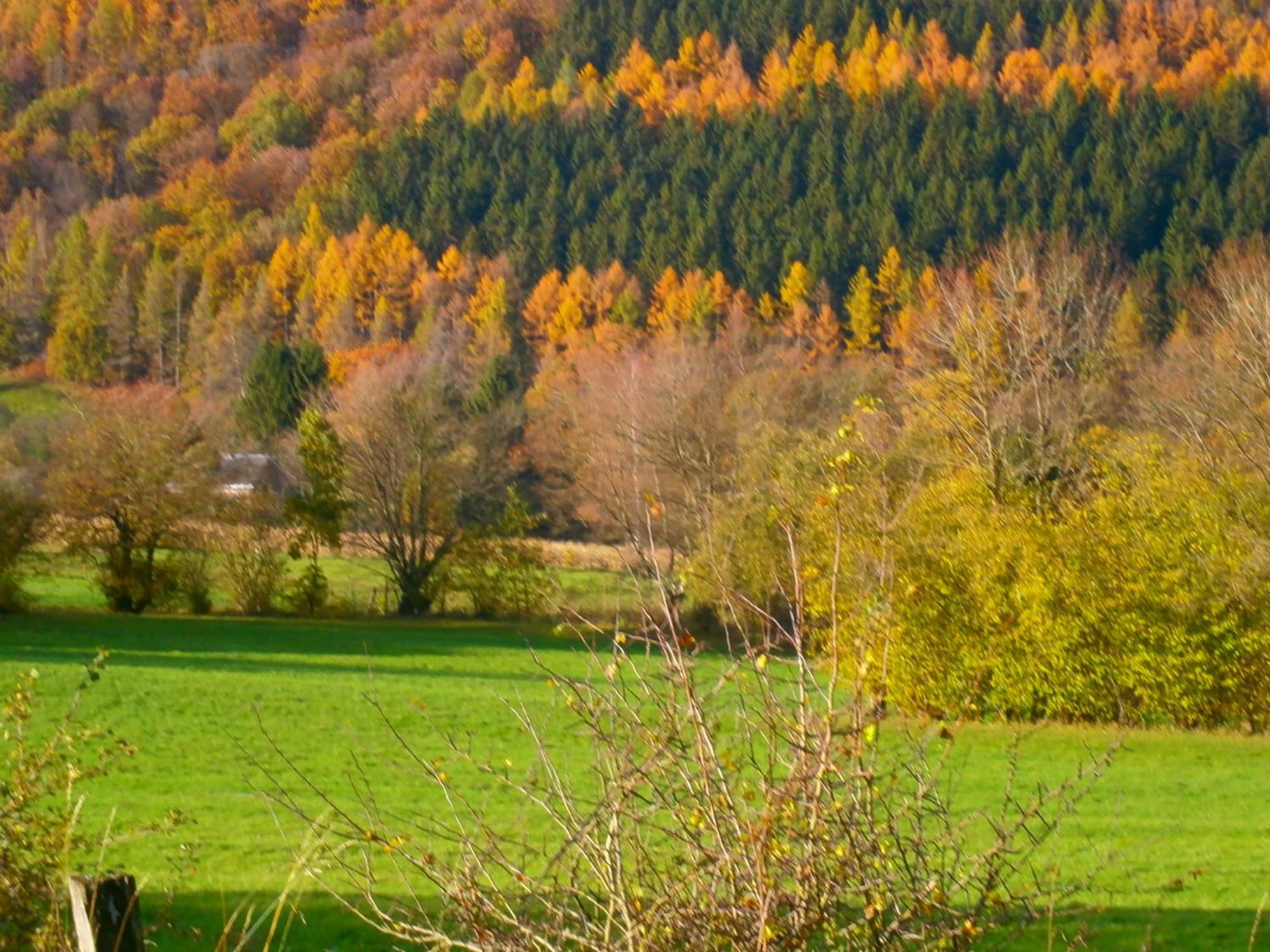 Le Renard'Or Bed and Breakfast Trois-Ponts Eksteriør billede